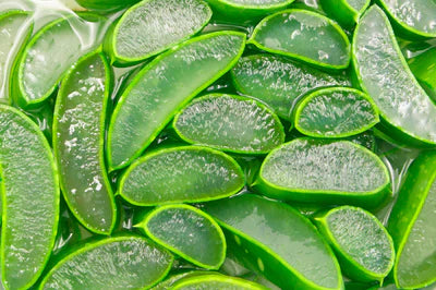 Aloe Vera Calming Gel